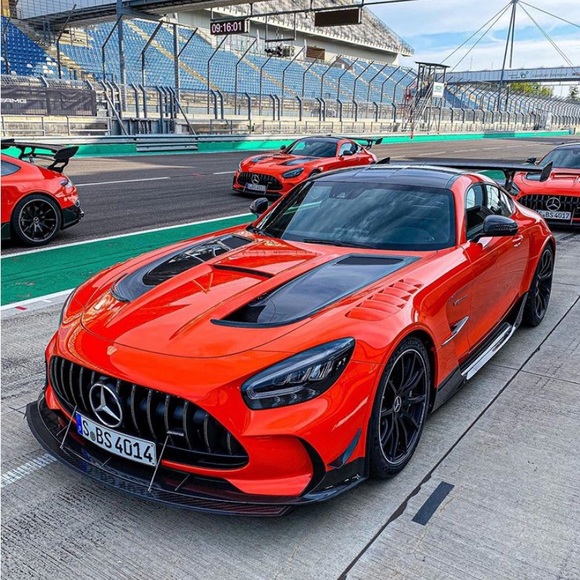 Meet your Posher, Curtis - Picture 1 of 1